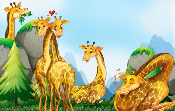 Veel giraffen in het veld — Stockvector