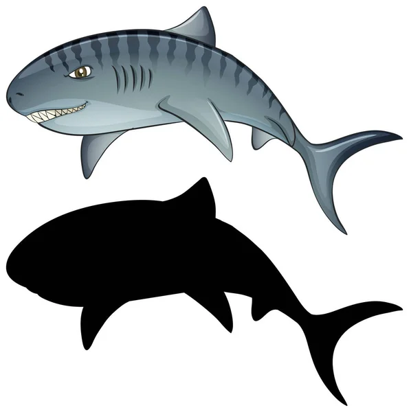 Haifischfiguren Und Ihre Silhouette Auf Weißem Hintergrund — Stockvektor