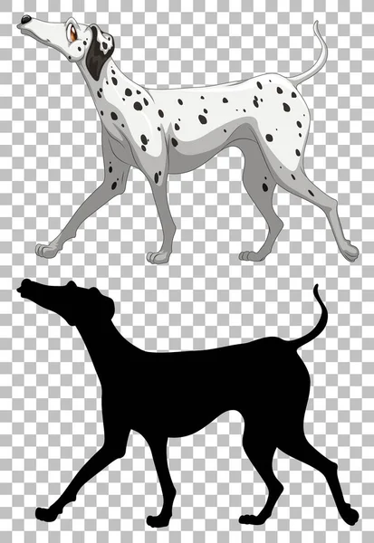 ダルマチアの犬とそのシルエットのイラスト — ストックベクタ