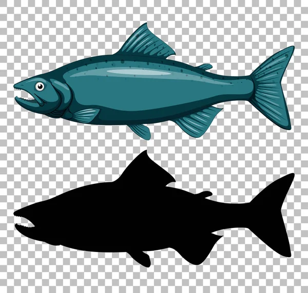 Tuna Fish Its Silhouette Transparent Background Illustration — Stock Vector