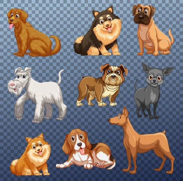Set Diferentes Perros Ilustración Aislada — Vector de stock