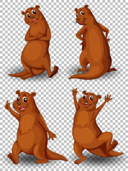 Ensemble Loutre Mignonne Sur Fond Transparent Illustration — Image vectorielle