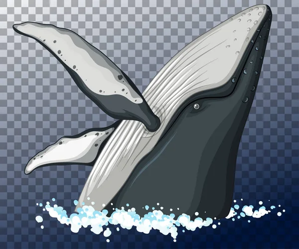 Μπλε Κεφάλι Φάλαινας Στο Νερό Διαφανές Φόντο Εικονογράφηση — Διανυσματικό Αρχείο