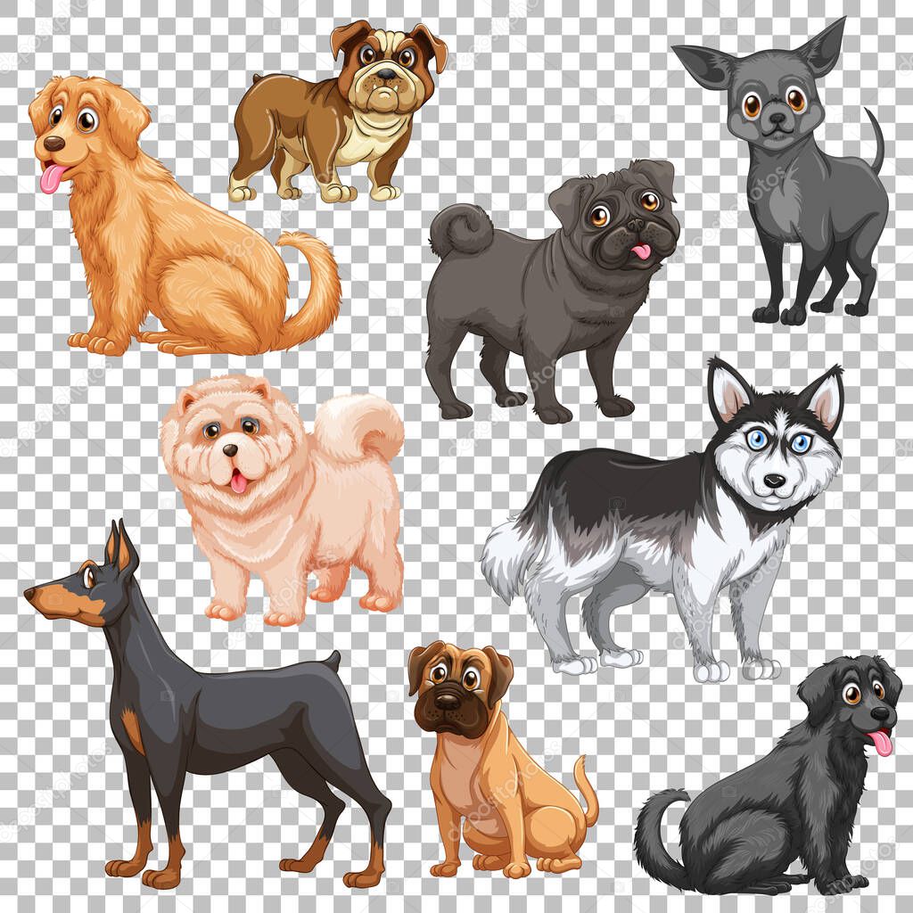 Set of different dogs isolated illustration