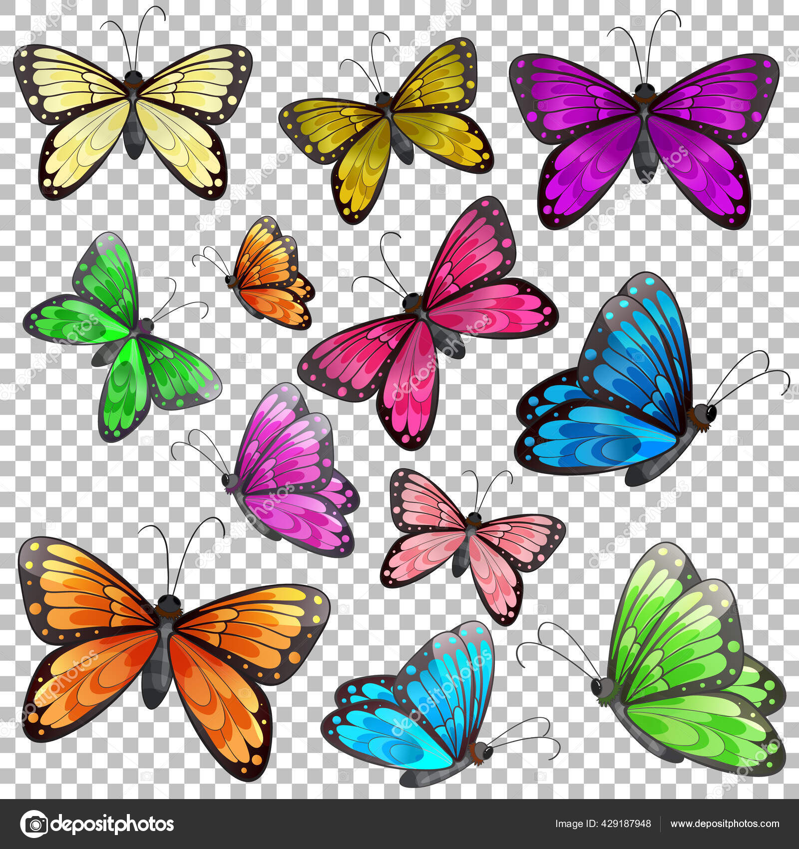 透明背景图上的一组不同蝴蝶图库矢量图©interactimages 429187948