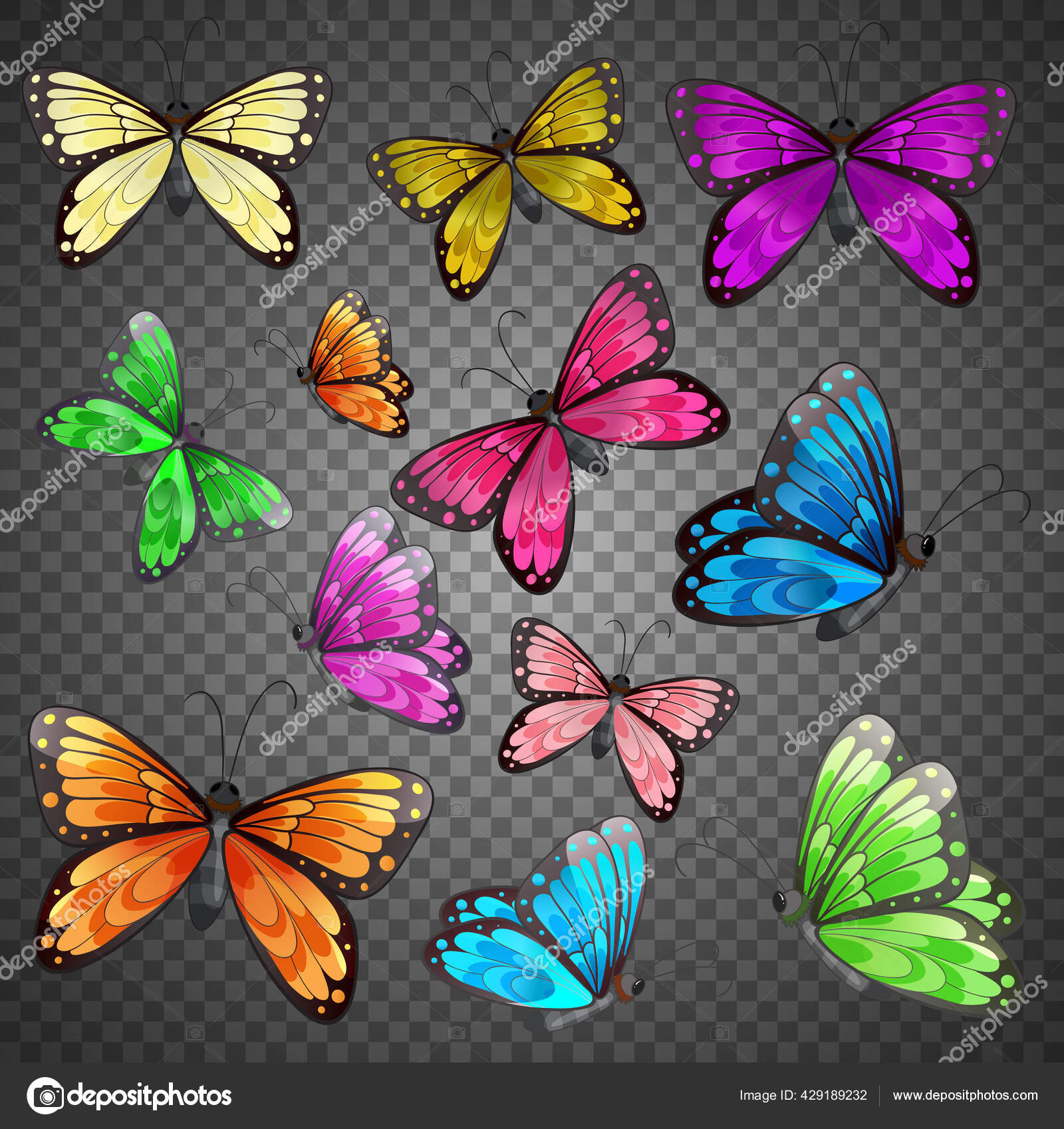 透明背景图上的一组不同颜色蝴蝶图库矢量图©interactimages 429189232