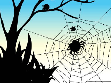 Shadow of spider web nature background illustration clipart