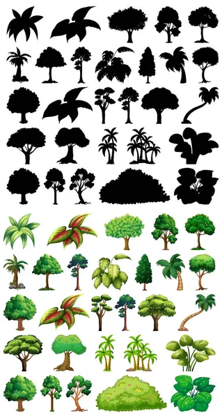 一套植物和树木及其轮廓图解 — 图库矢量图片