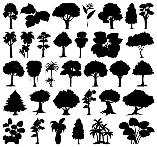 Набор Иллюстраций Силуэта Растений Деревьев — стоковый вектор