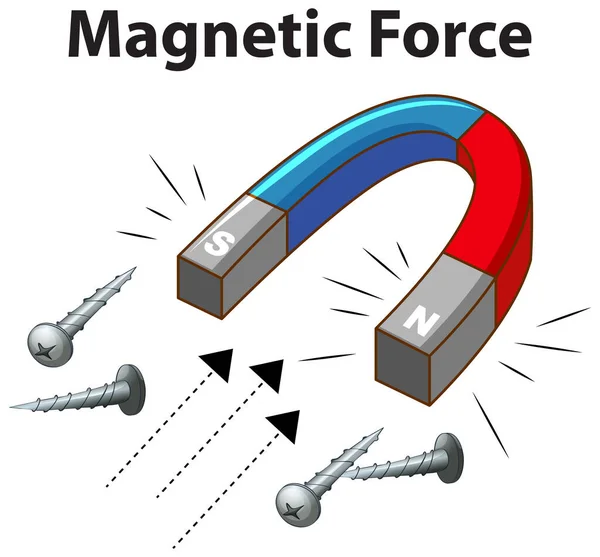 Магнітна Сила Багатьма Гвинтами Білому Тлі Ілюстрація — стоковий вектор