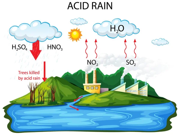 Diagrama Mostrando Chuva Ácida Ilustração Fundo Branco — Vetor de Stock