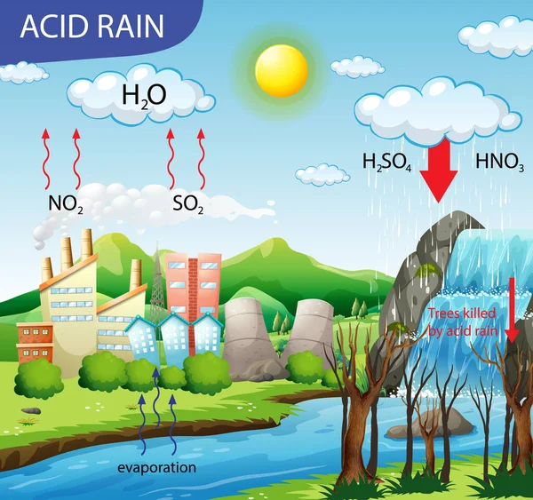 Illustrazione Del Diagramma Che Mostra Percorso Delle Piogge Acide — Vettoriale Stock