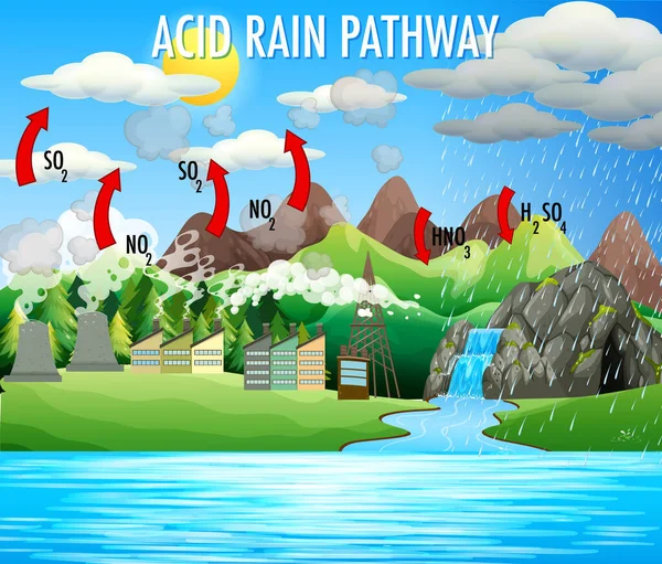 Asit Yağmuru Çizimlerini Gösteren Diyagram — Stok Vektör