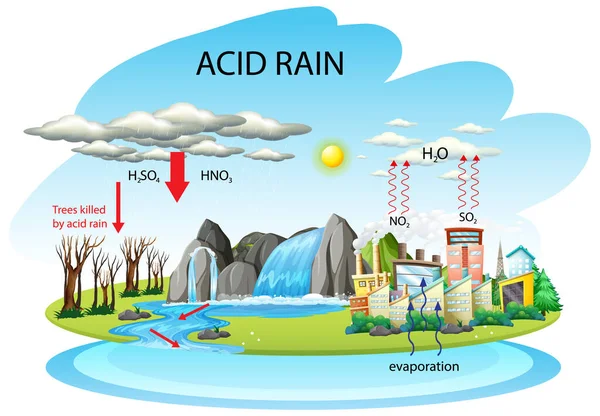 Diagram Showing Acid Rain Pathway White Background Illustration — Stock Vector