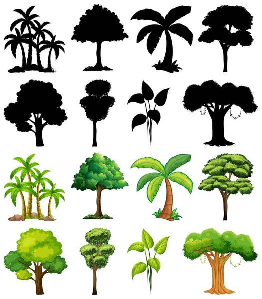 一套植物和树木及其轮廓图解 — 图库矢量图片