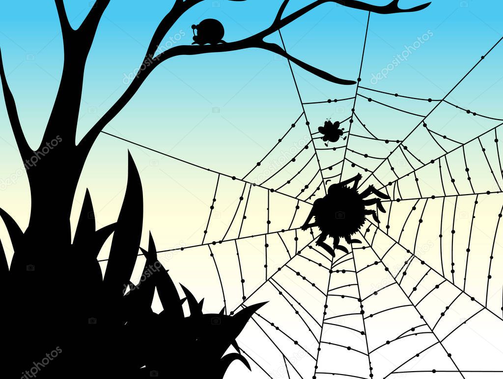 Shadow of spider web nature background illustration