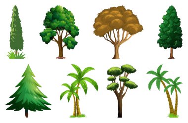 Çeşitli bitki ve ağaçlar çizimi