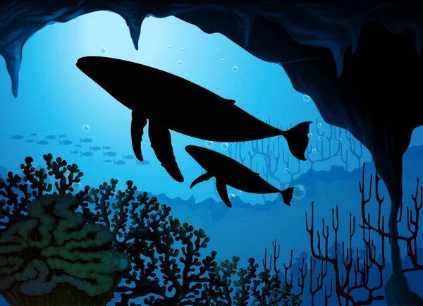 Bultrug Walvis Natuur Scène Silhouet Illustratie — Stockvector