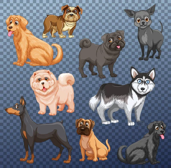 Set Diferentes Perros Ilustración Aislada — Vector de stock