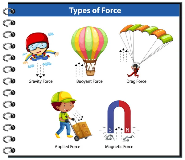 Types Force Pour Les Enfants Illustration Pédagogique Physique — Image vectorielle