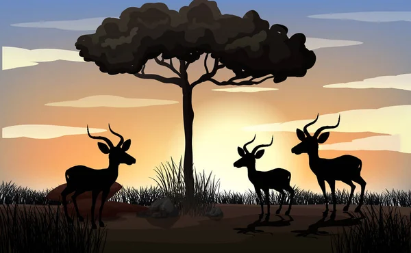 Gazela África Silhueta Cena Ilustração — Vetor de Stock
