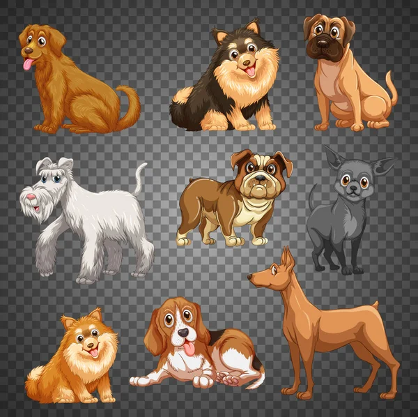 Conjunto Diferentes Cães Ilustração Isolada — Vetor de Stock