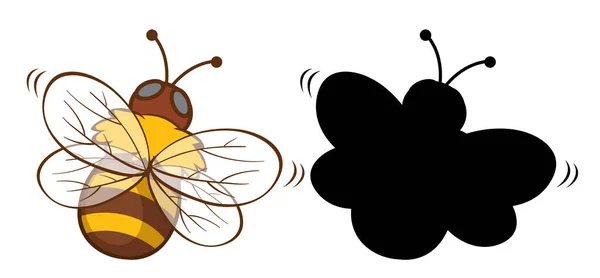 Set Von Insekten Cartoon Figur Und Ihre Silhouette Auf Weißem — Stockvektor