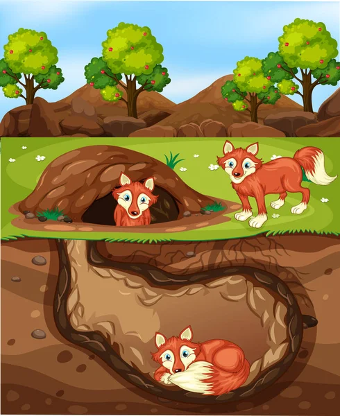 Υπόγεια Τρύπα Ζώων Πολλές Αλεπούδες Εικονογράφηση — Διανυσματικό Αρχείο