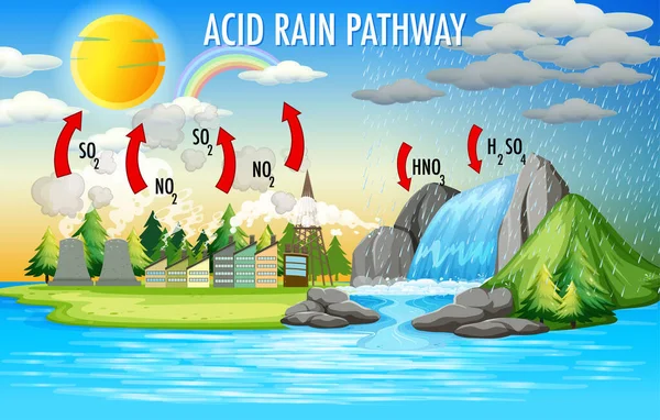 Diagram showing acid rain pathway on white Vector Image