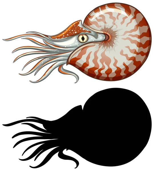 Conjunto Caracteres Nautilus Silueta Sobre Fondo Blanco Ilustración — Archivo Imágenes Vectoriales