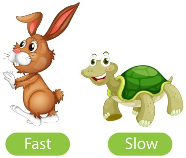 Opposite adjective words with fast and slow illustration clipart