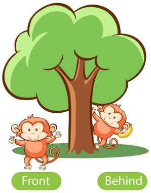 Önü ve arkası resimli karşıt kelimeler