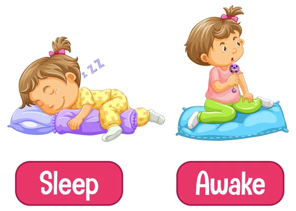 Words Awake Sleep Illustration — Stock Vector