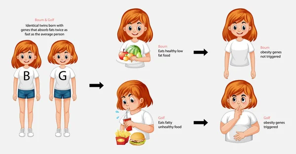 Infographic Van Gezonde Ongezonde Eetgewoonten Illustratie — Stockvector