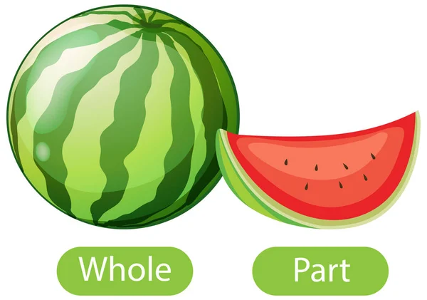 Gegensätzliche Wörter Mit Ganz Und Teilillustration — Stockvektor
