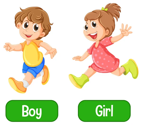 Adjective Words Boy Girl White Background Illustration — Stock Vector