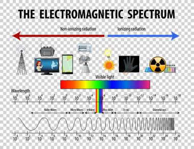 Şeffaf arkaplan illüstrasyonunda Bilim Elektromanyetik Spektrumu diyagramı