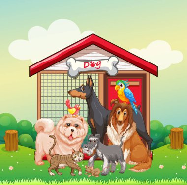 Park sahnesinde evcil hayvan grubu