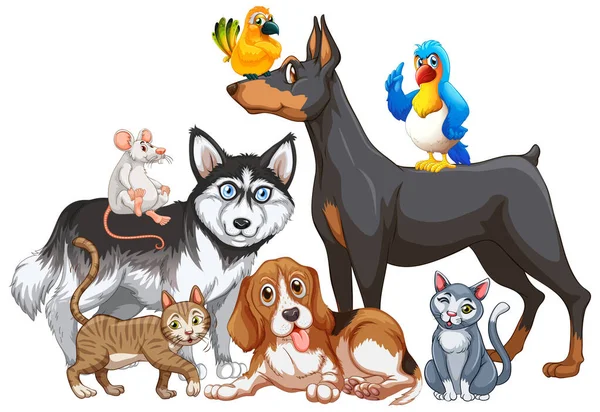 Grupo Animais Estimação Sobre Fundo Branco Ilustração — Vetor de Stock