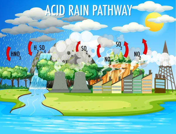 Diagram showing acid rain pathway illustration