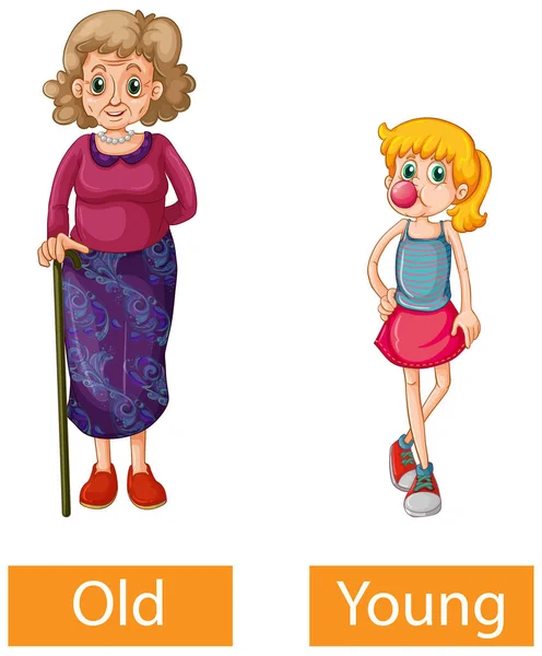 Adjectives Words Old Young Illustration — Stock Vector