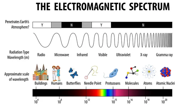 科学电磁波谱图说明 — 图库矢量图片