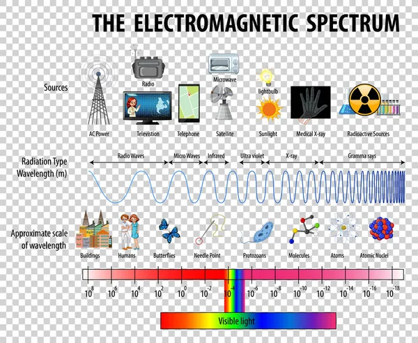 Наука Діаграма Електромагнітного Спектру Прозорому Фоні Ілюстрації — стоковий вектор