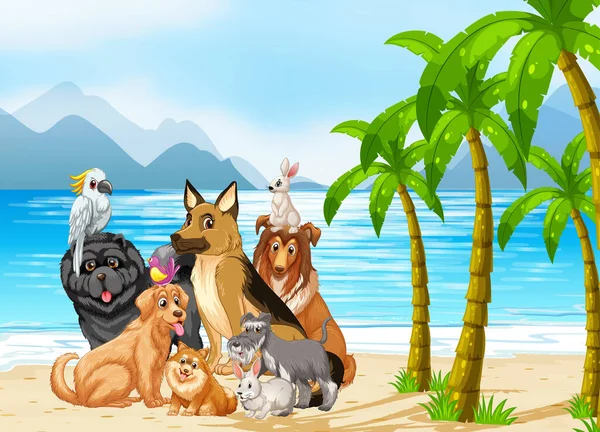 Praia Cena Livre Com Grupo Ilustração Pet —  Vetores de Stock
