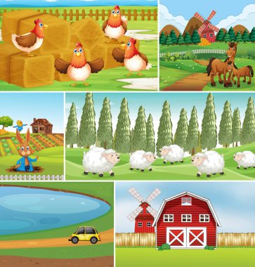 Çiftlik hayvanları resimli farklı bir çiftlik sahnesi.