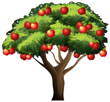 Beyaz arkaplan resimlerinde izole edilmiş elma ağacı