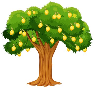 Beyaz arkaplan resimlerinde izole edilmiş limon ağacı