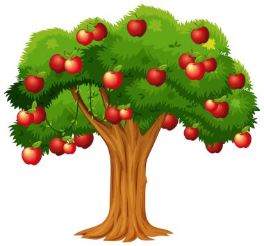 Beyaz arkaplan resimlerinde izole edilmiş elma ağacı