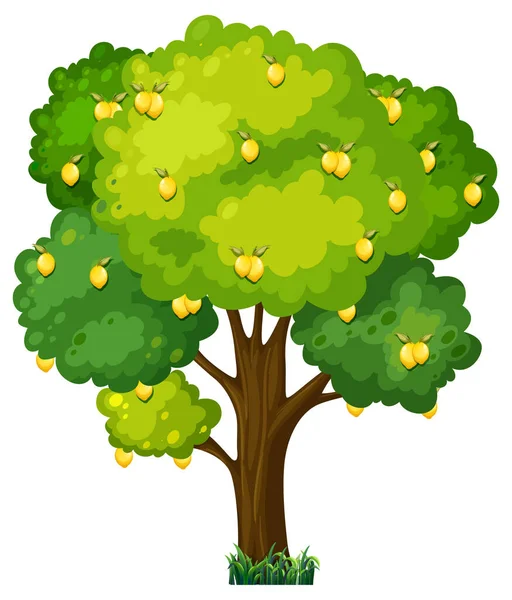Zitronenbaum Cartoon Stil Isoliert Auf Weißem Hintergrund Illustration — Stockvektor
