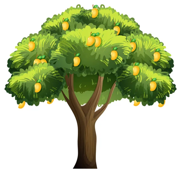 Arborele Galben Mango Izolat Fundal Alb Ilustrație — Vector de stoc